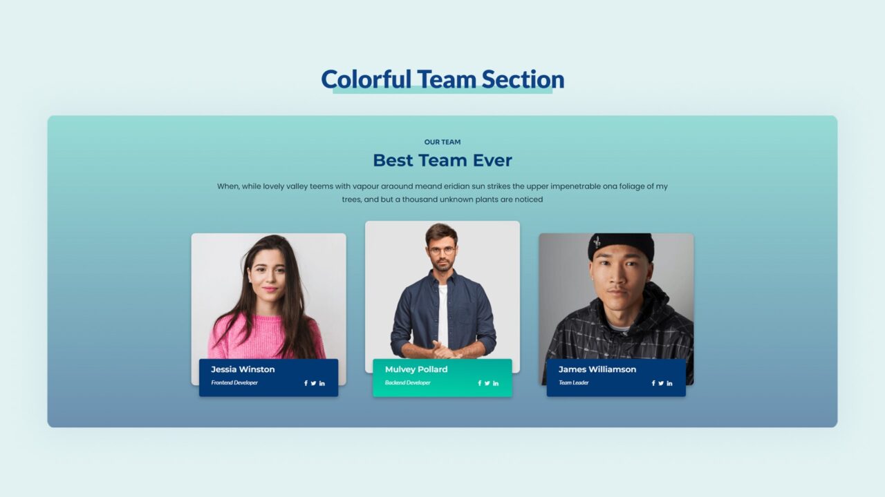 colorful-team-section-style-06 | kitsWind