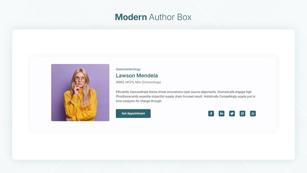 modern-author-box-section-style-01 | kitsWind