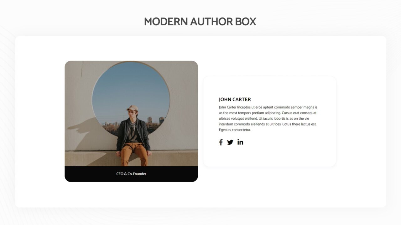 modern-author-box-section-style-08 | kitsWind